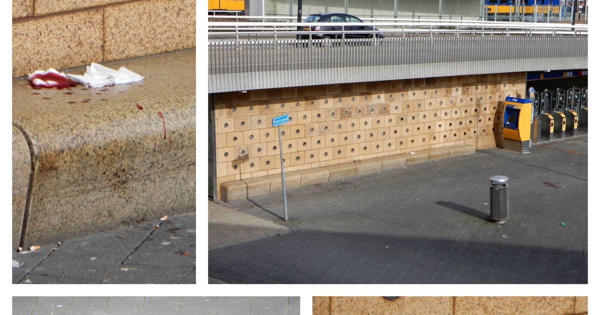 Getuige van bloederige mishandeling met baksteen in Apeldoorn: 'Hij schreeuwde dat hij doodging'.