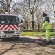 Werken: een zegen of een straf?