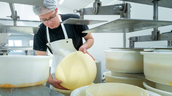 Bert uit Doornspijk biedt weerstand tegen hoge melkprijs met kleine, eigen winkel: ‘Fatsoenlijke prijs voor onze kaas’