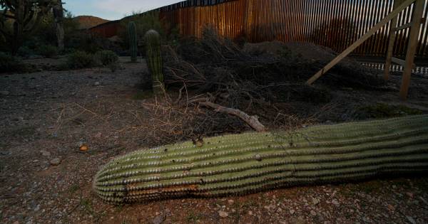 Des sites sacrés amérindiens dynamités... pour construire le mur de Trump