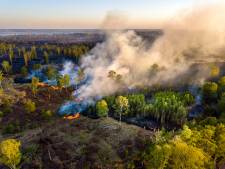 Vaker onbeheersbare natuurbranden door toenemende hitte en droogte
