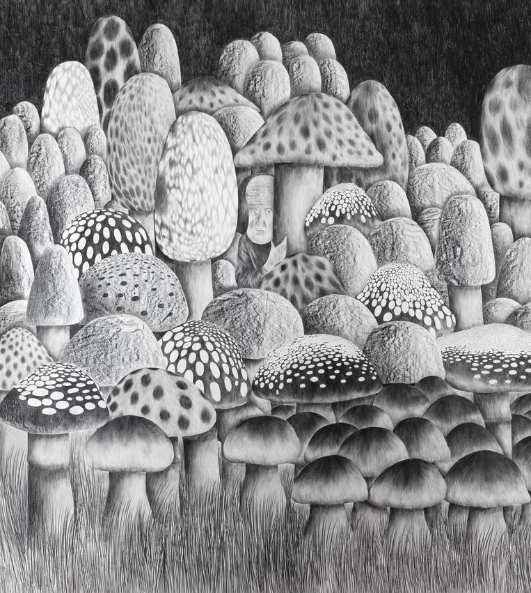 'A Kind Of Magic', 2021, 270 x 240 cm. Beeld DENNIS TYFUS