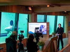 Dolfinarium neemt afscheid van dieren en gooit shows op de schop: ‘Uitstel van executie’