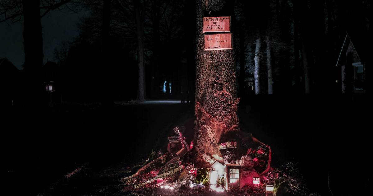 Crowdfunding voor laatste reis van in Westendorp verongelukt meisje : ‘Op weg naar haar papa’.