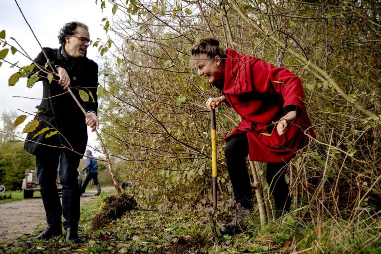 Urgenda herplant boompjes uit Amsterdamse bossen door het hele land