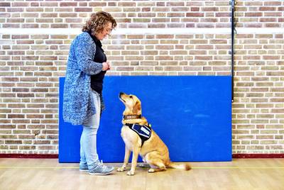 Deze eigenwijze hond verdreef Luca's agressie