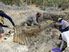 Nieuwe ‘spraakzame’ dinosaurus ontdekt in Mexico
