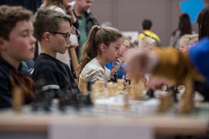 Knuppel kreupel Discrepantie Kinderen omarmen het schaken, met dank aan Netflix | Tiel | gelderlander.nl