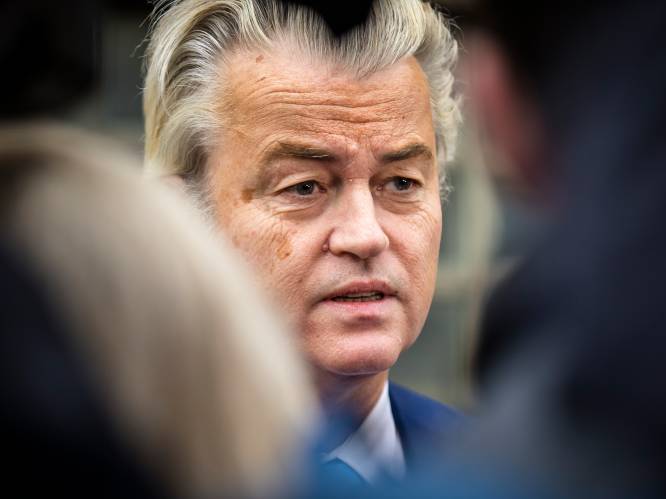 PVV doet in Nissewaard mee aan de gemeenteraadsverkiezingen