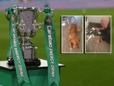 Finaleticket in tientallen stukjes: radeloze fan Newcastle United zet hond te koop