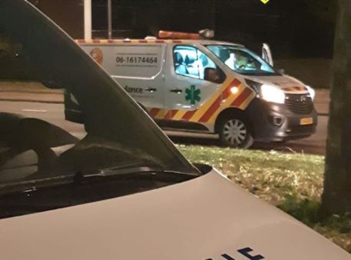 De dierenambulance rukte uit om de twee honden te verzorgen.