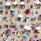 Nederland op de vlucht nu het eindelijk zomer wordt