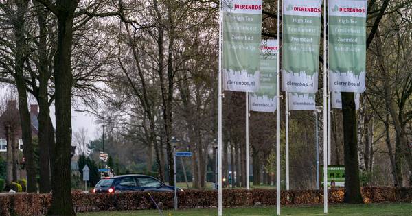 Ongeruste bewoners Dierenbos op Vinkeloord krijgen donderdag duidelijkheid over permanente bewoning 
