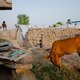 'Arme landen lopen jaarlijks 460 miljoen mis door belastingontwijking'
