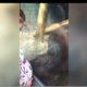 Orang-oetan kust buik zwangere vrouw