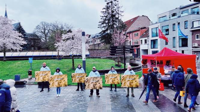 Bite Back voert actie in Hasselt tegen vergassen van eendagskuikens: “Jaarlijks 24 miljoen kuikens slachtoffer in Vlaanderen”