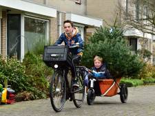 Hoe hebben de gemeenten in het Groene Hart de kerstbomenophaal geregeld dit jaar?