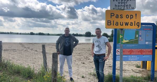 Zwaluwse Winput opgeknapt, maar nu wel blauwalg in het water: 'Hopelijk zijn we er snel vanaf' - BN 