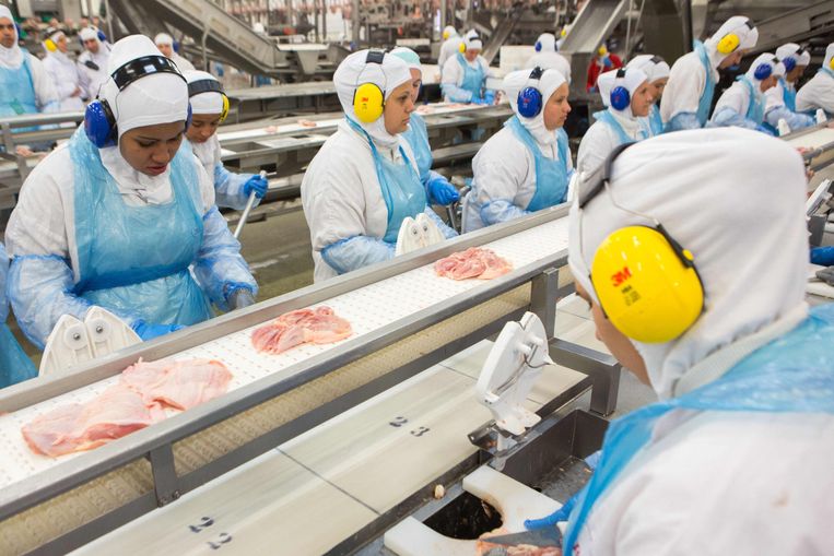 Medewerkers in een van de JBS-fabrieken in de VS.  Beeld AFP