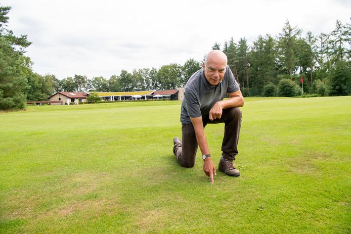 Clemens Mulder, voorzitter van de baancommissie van golfclub Hooge Graven in Ommen knielt op de voorgreen. Als de vereniging niks doet zorgt de engerling voor flink wat vraatschade.