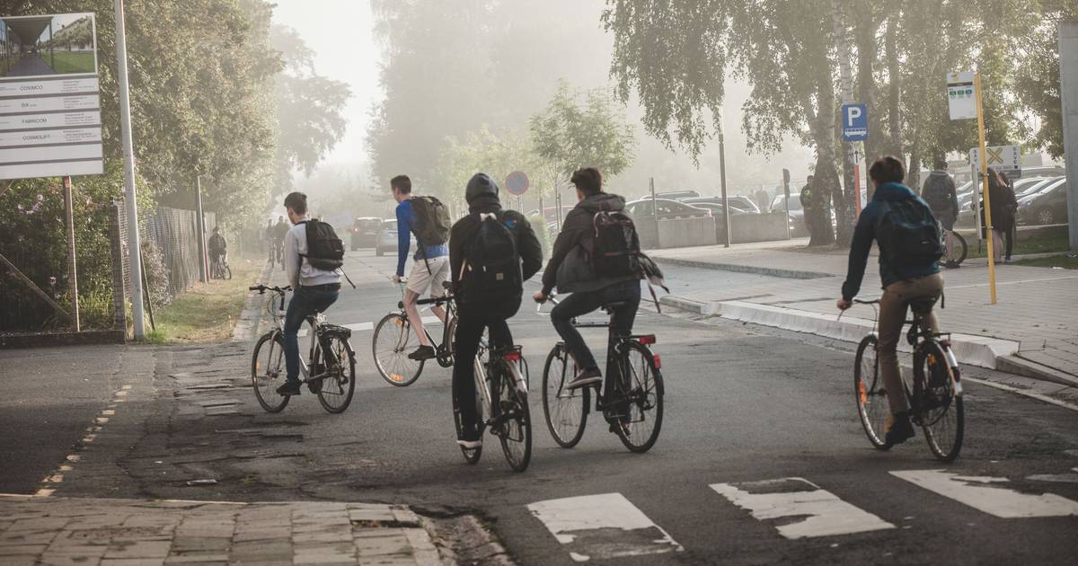 Kruipen zeewier eetpatroon Ruim een derde van leerlingen gaat met fiets naar school | Binnenland |  hln.be