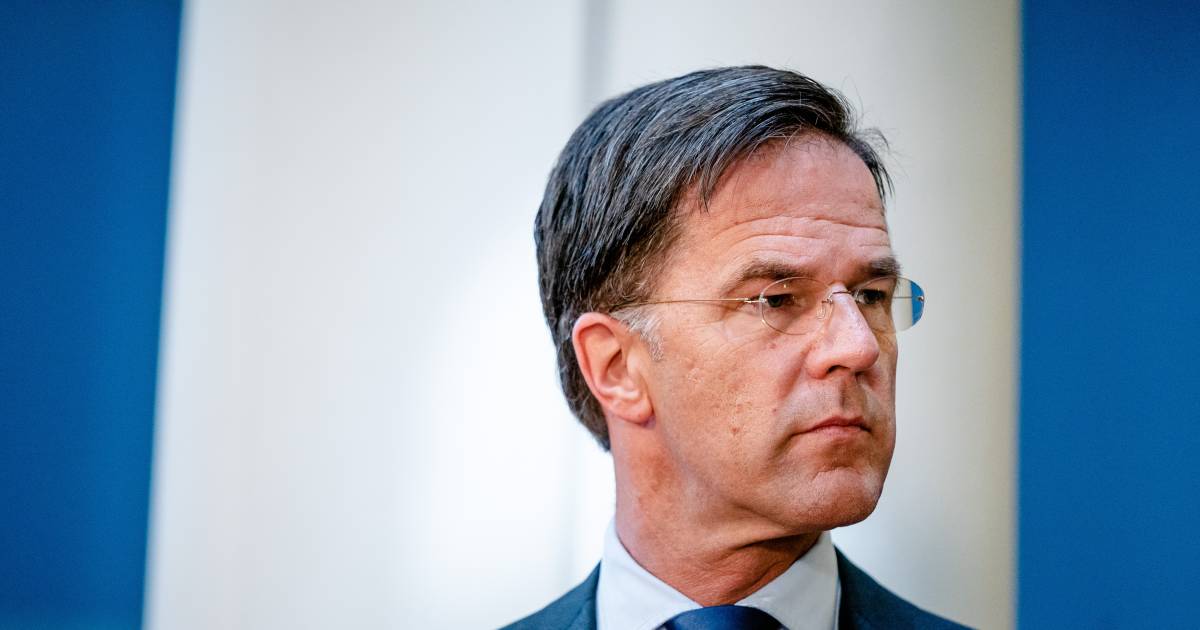 Eendaagse festivals mogen alleen onder strikte voorwaarden ...