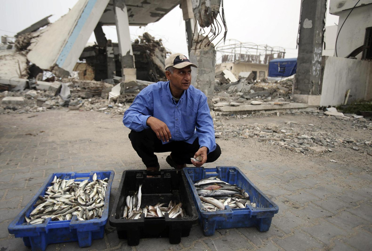 Een Palestijn verkoopt vis in een buurt in Khan Younis in Gaza die werd gebombardeerd door Israël. Beeld reuters