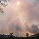 Plots riep een soldaat ‘Staak het vuren!’. Dit is het hele verhaal achter de grote brand in Brecht. En het is gruwelijk gênant