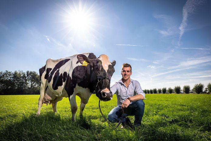 Ben Knoef met Betje 287, de koe die het boerenbedrijf al 100.000 liter melk gaf.