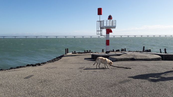 Pal naast de ingang van het Havenkanaal van Zierikzee werd tussen 1945 en 1967 zo’n 30 miljoen kilo munitie op de Oosterscheldebodem gedumpt door Defensie.