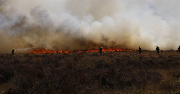 Zeer grote natuurbrand bij Reindersmeer in Well