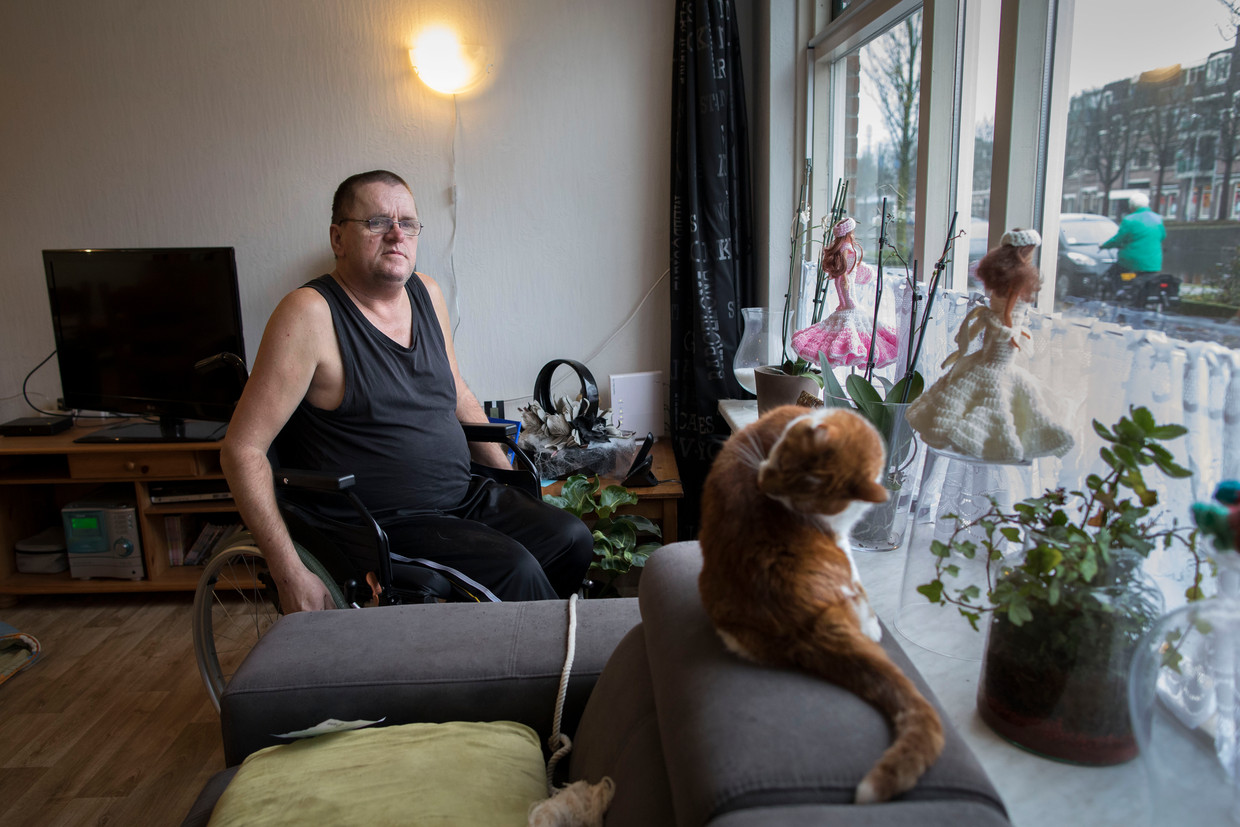 null Beeld Werry Crone
