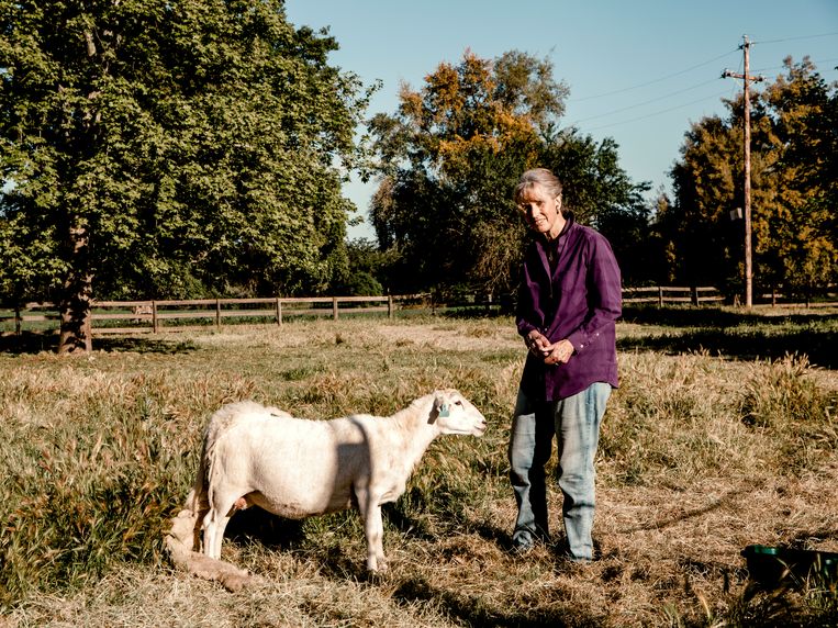 Moederschapsexpert Sarah Blaffer Hrdy 