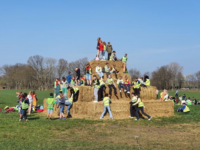 Meer dan 200 kinderen van de lagere scholen in Hoogstraten kwamen vrijdag naar de boerderij van Jef Ryvers in Castelré.
