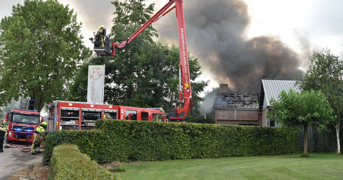 Asbest vrijgekomen bij grote brand champignonkwekerij in Hurwenen: 'Het stonk als de hel' - BD.nl