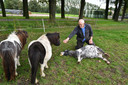 Gerard Damhuis bij de pony met afgerukte poot en twee paardjes die de paniek die uitbrak overleefden.