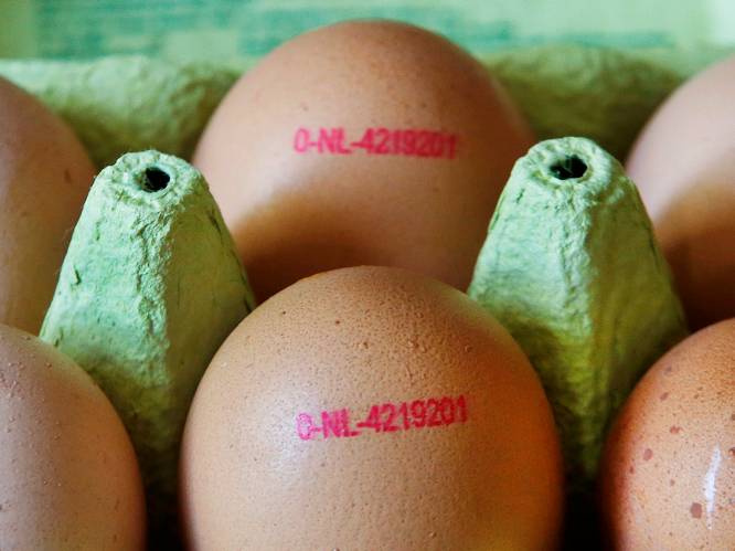 Nadat 73.000 Nederlandse eieren met fipronil zijn ontdekt in Duitsland: "Alle eieren op de Belgische markt zijn veilig"