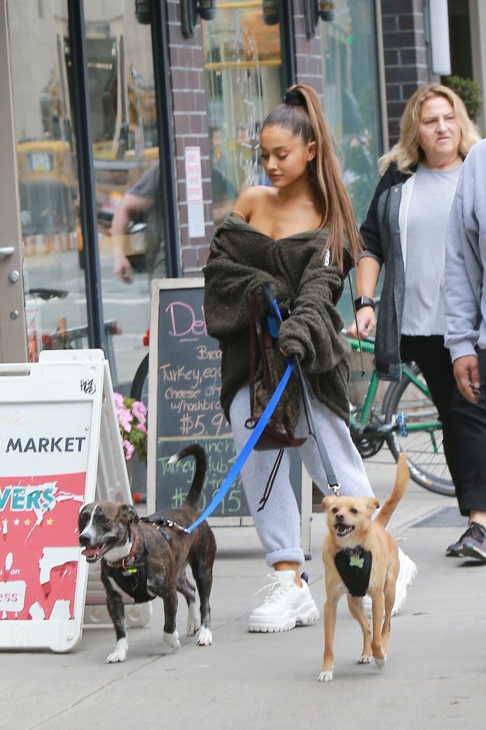 Ariana liet deze week haar honden uit in New York.