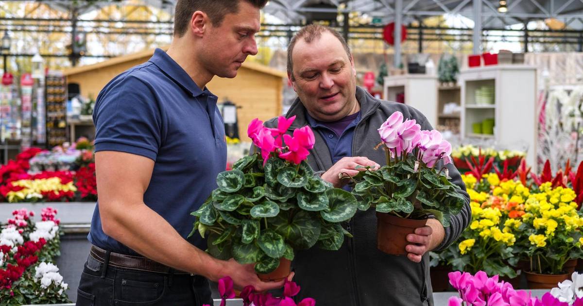 Tuincenter Claes Krijgt Hulp Van Burgemeester Edegem Hln Be