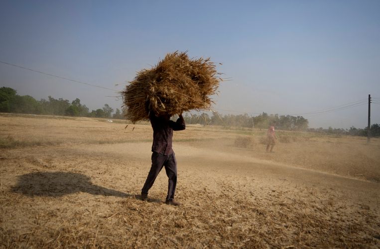 melting glaciers and disappointing wheat harvest