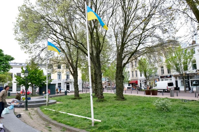 De LHBTIQ+vlag in het Huijgenspark is vaak vernield. De vlaggenmast is uit de grond getrokken.