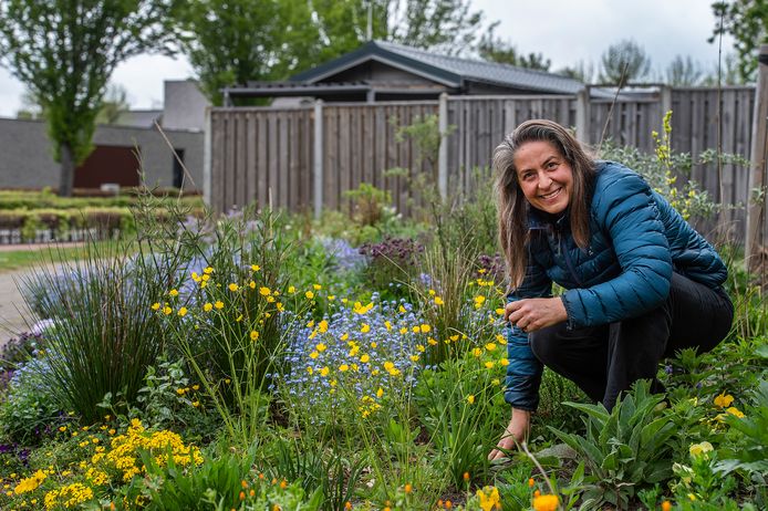 Elske van der Wal voorkwam dat de gemeente dit buurtperkje inzaaide met gras, en onderhoudt het stuk nu zelf.