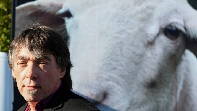 GAIA hekelt "hypocriet" standpunt Boerenbond voor Europees verbod onverdoofd slachten