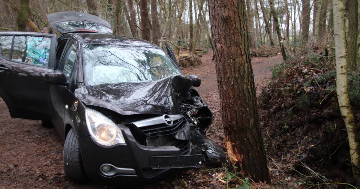 Vrouw gewond bij botsing tegen boom in Heino.