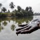 Geen groene revolutie bij Shell