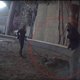 Vermaarde dierentrainer onder vuur na mishandeling Siberische tijger
