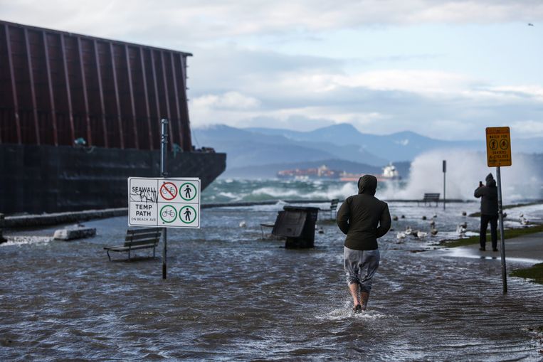 Een losgeslagen binnenschip met een container in Vancouver. Beeld REUTERS