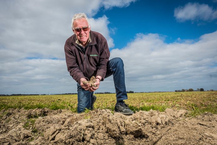 Boer Arnold van Woerkom is trots op de staat van zijn bodem, waarop hij gekneusde mosterdplanten heeft liggen.