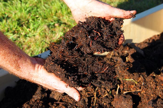 Vanaf morgen 1 april loopt er een compostactie met een gratis paar tuinhandschoenen.