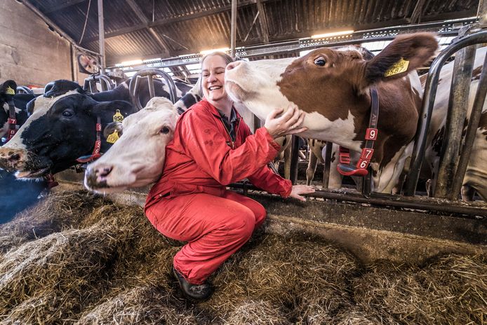 Jacqueline van Staalduinen knuffelt graag met haar koeien. Niet alleen de beesten vinden dat lekker. Zelf wordt ze er ook 'heel zen' van.